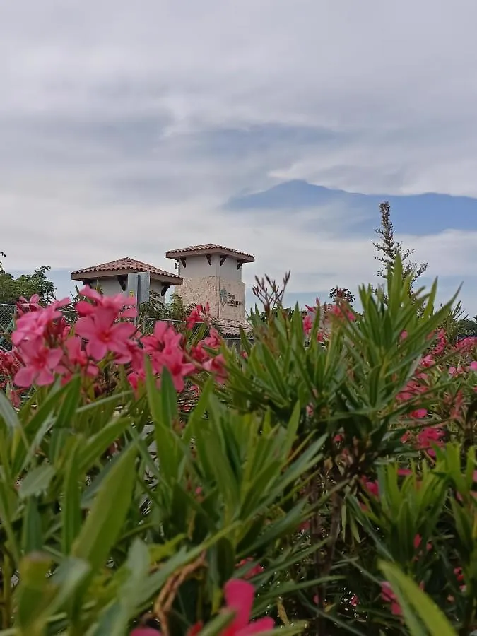 Charming Apartment Hoestel Reiden! Πλάγια Ντελ Κάρμεν